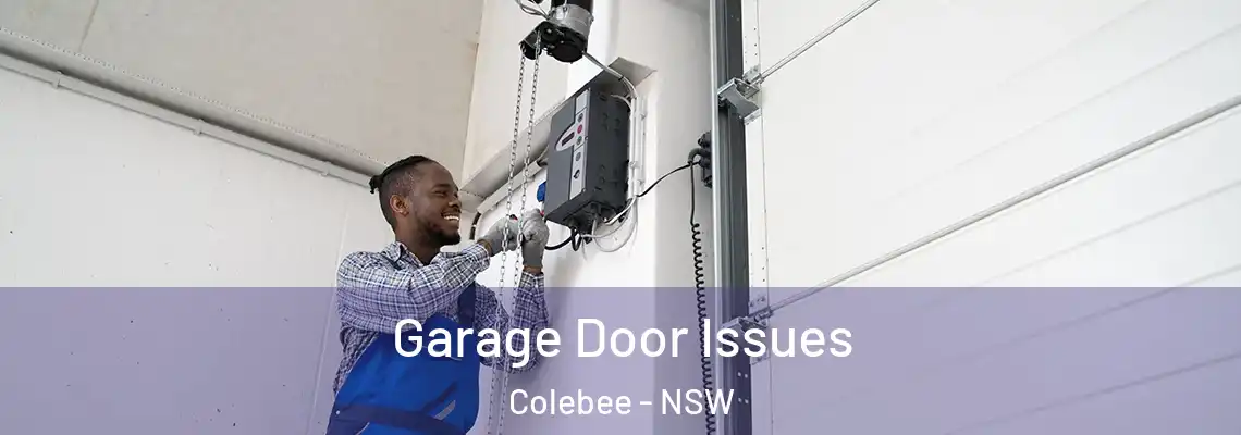  Garage Door Issues Colebee - NSW