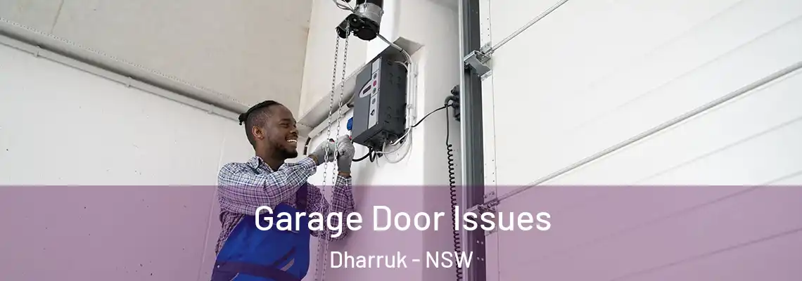  Garage Door Issues Dharruk - NSW