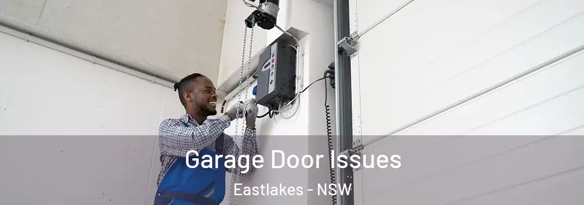  Garage Door Issues Eastlakes - NSW