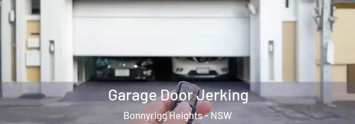  Garage Door Jerking Bonnyrigg Heights - NSW