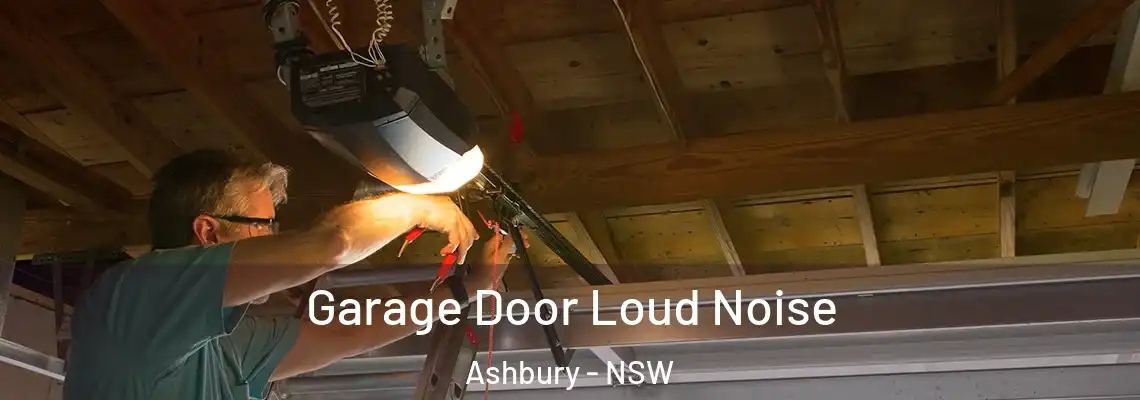  Garage Door Loud Noise Ashbury - NSW