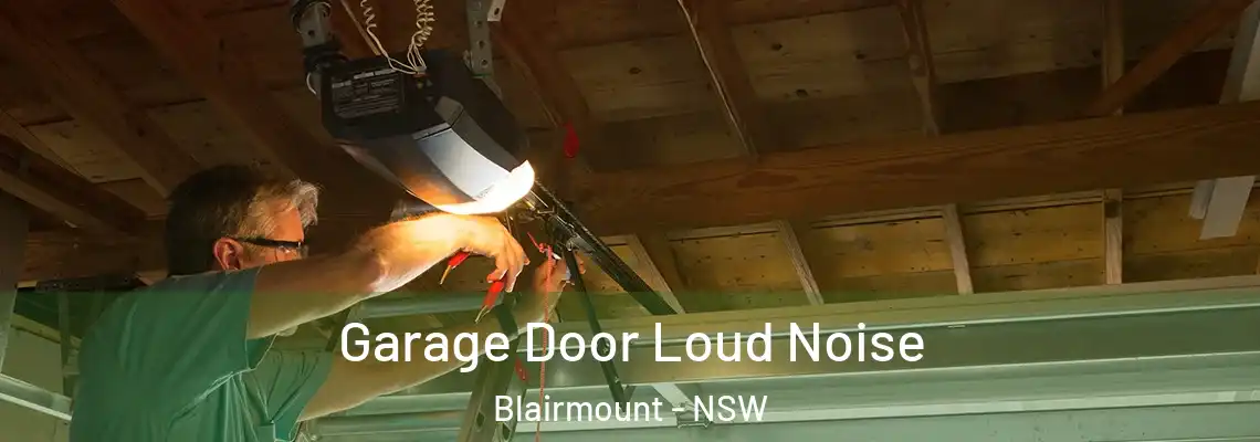  Garage Door Loud Noise Blairmount - NSW