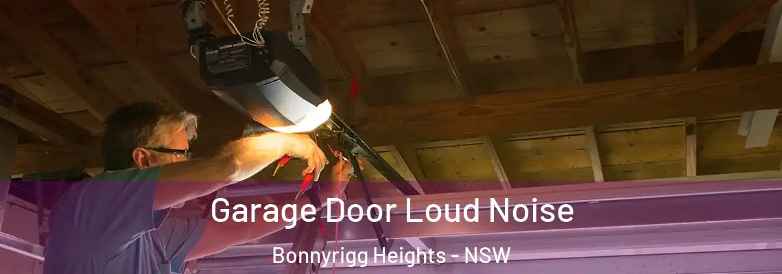  Garage Door Loud Noise Bonnyrigg Heights - NSW