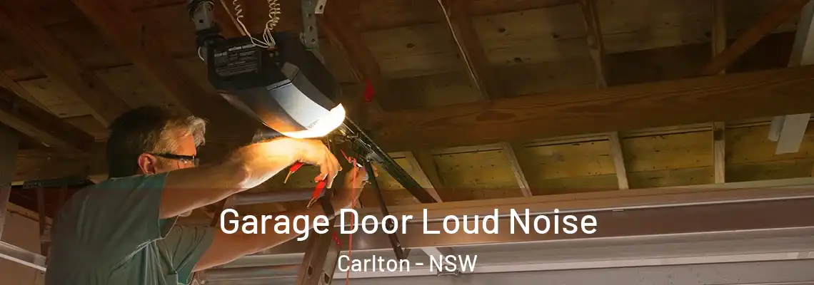  Garage Door Loud Noise Carlton - NSW