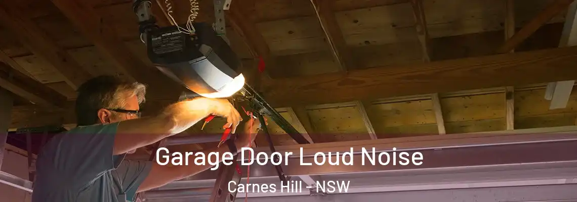  Garage Door Loud Noise Carnes Hill - NSW