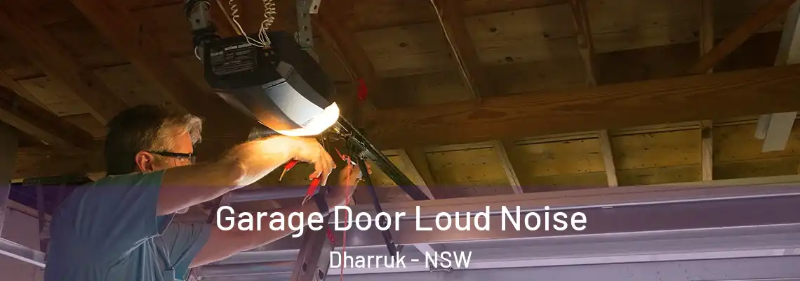  Garage Door Loud Noise Dharruk - NSW