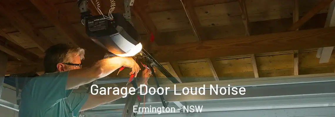  Garage Door Loud Noise Ermington - NSW