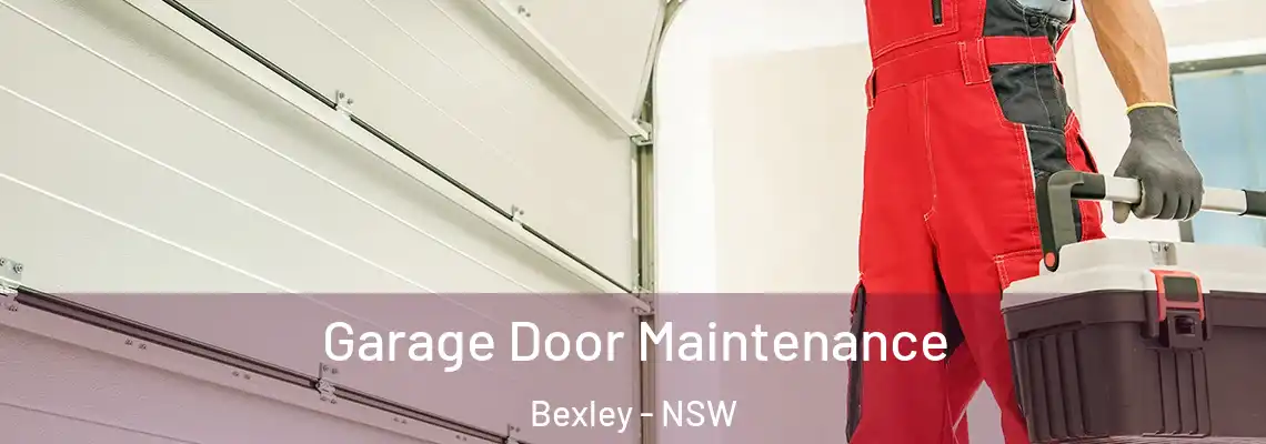  Garage Door Maintenance Bexley - NSW
