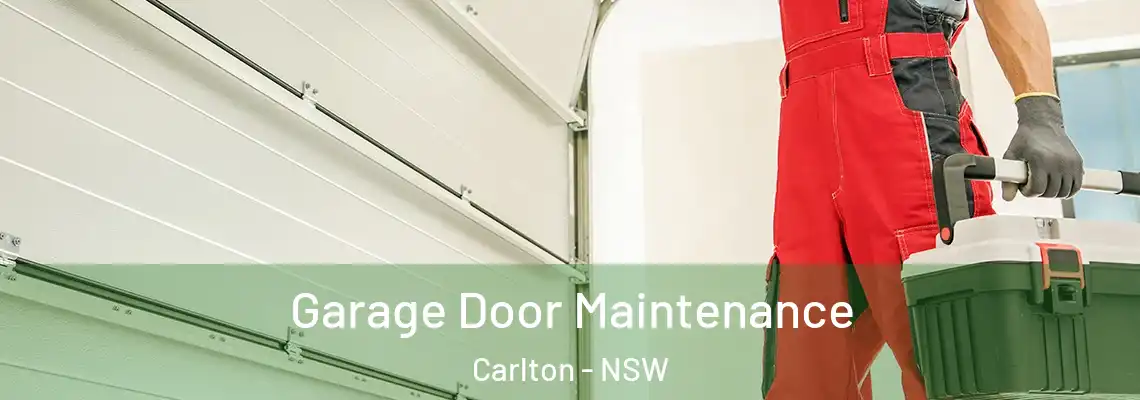  Garage Door Maintenance Carlton - NSW