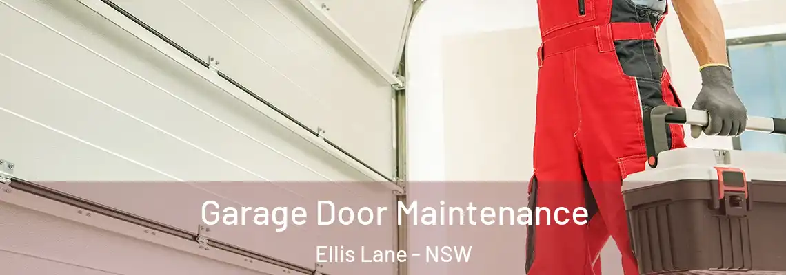  Garage Door Maintenance Ellis Lane - NSW