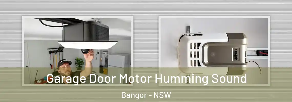  Garage Door Motor Humming Sound Bangor - NSW