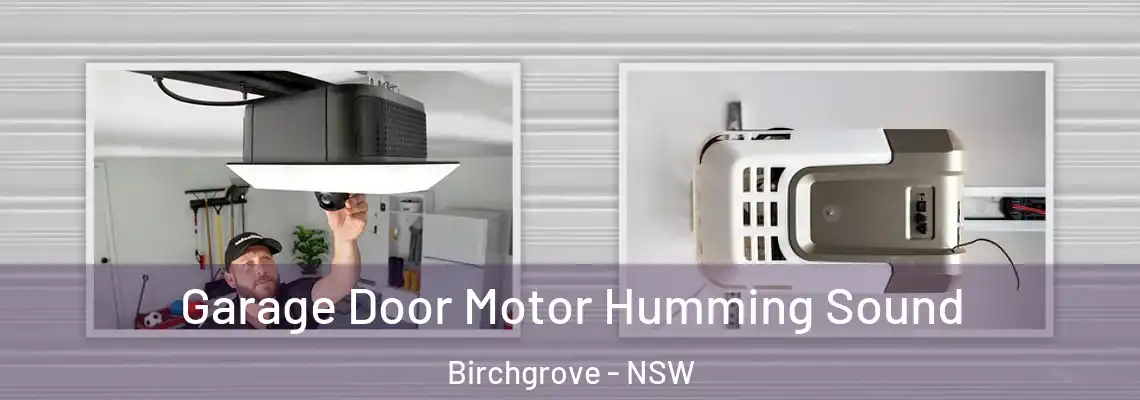  Garage Door Motor Humming Sound Birchgrove - NSW