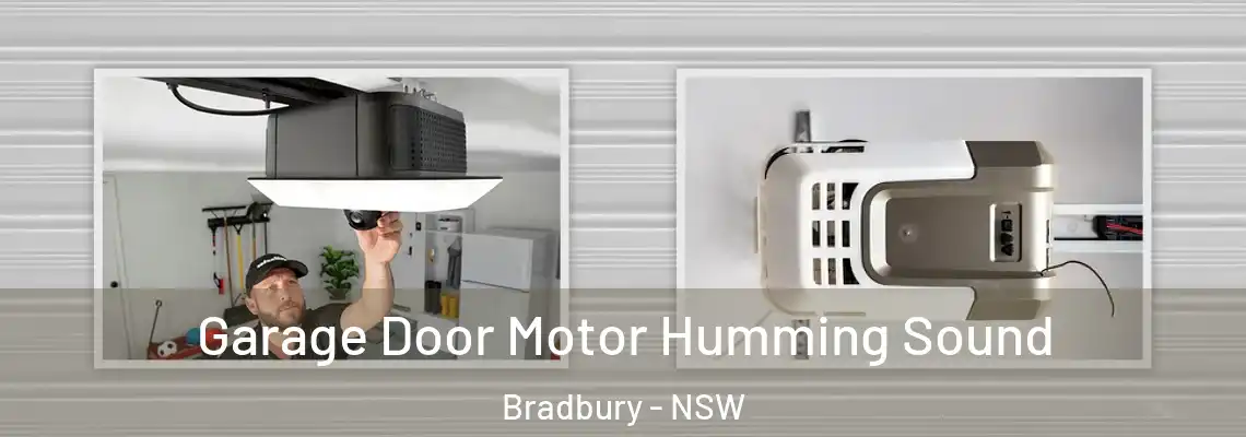  Garage Door Motor Humming Sound Bradbury - NSW