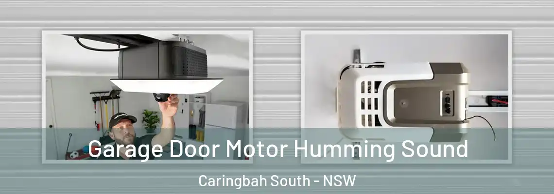  Garage Door Motor Humming Sound Caringbah South - NSW