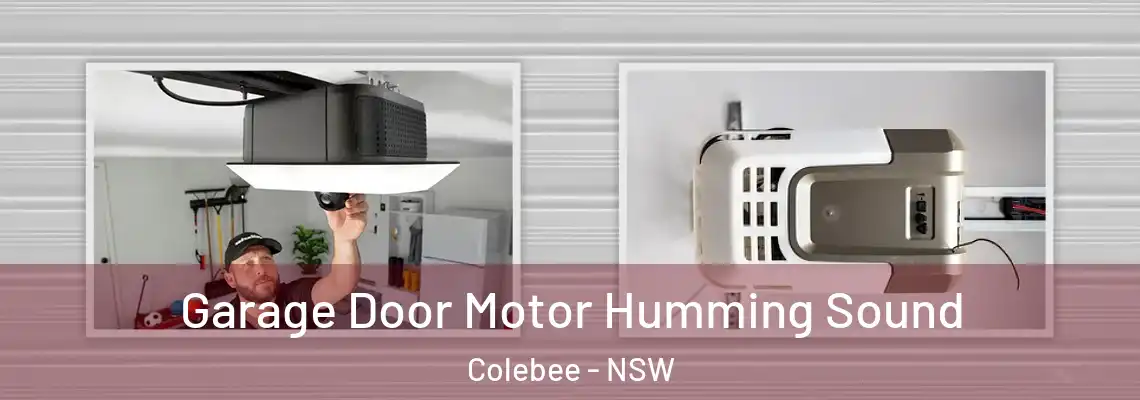  Garage Door Motor Humming Sound Colebee - NSW
