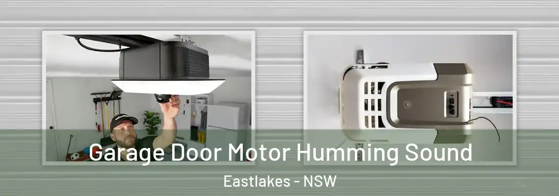  Garage Door Motor Humming Sound Eastlakes - NSW