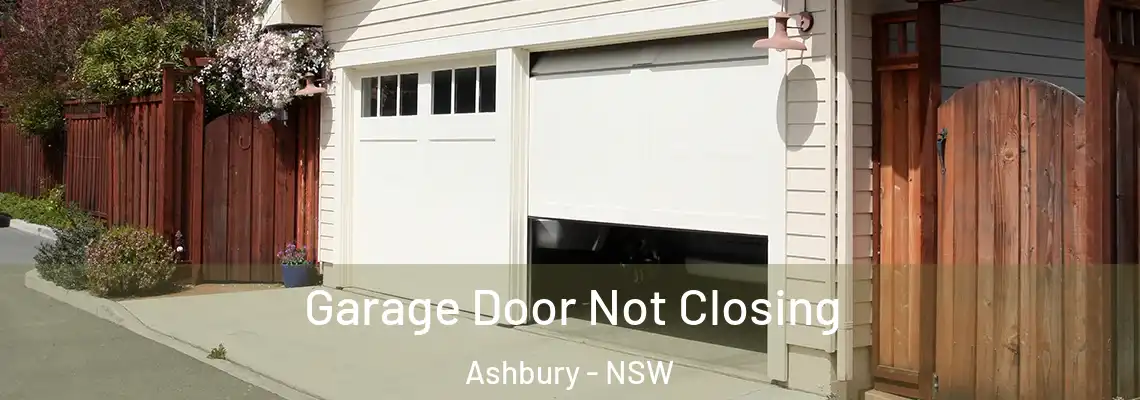  Garage Door Not Closing Ashbury - NSW