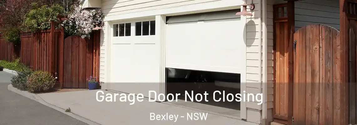  Garage Door Not Closing Bexley - NSW