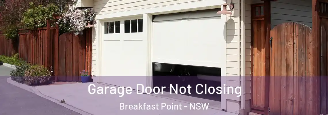  Garage Door Not Closing Breakfast Point - NSW