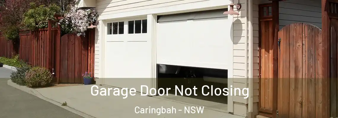  Garage Door Not Closing Caringbah - NSW