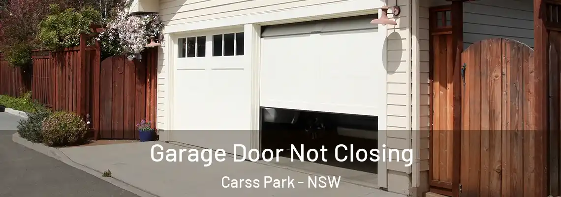  Garage Door Not Closing Carss Park - NSW