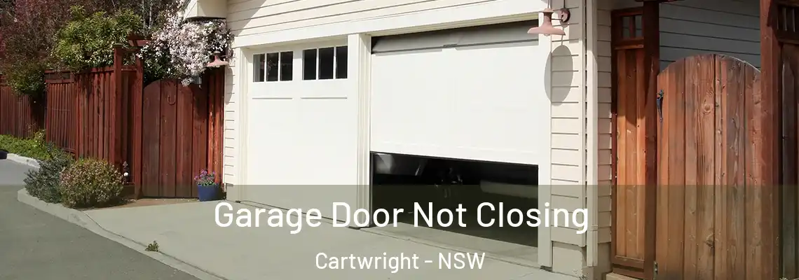  Garage Door Not Closing Cartwright - NSW