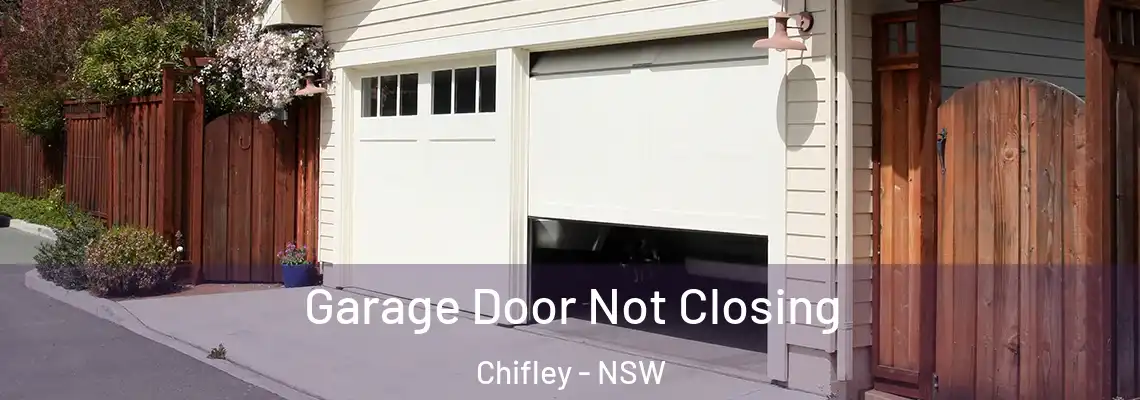  Garage Door Not Closing Chifley - NSW
