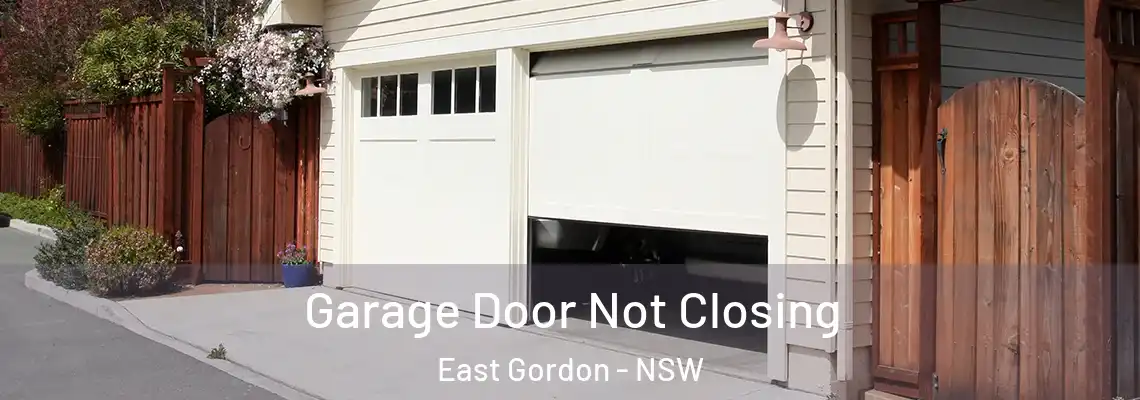  Garage Door Not Closing East Gordon - NSW