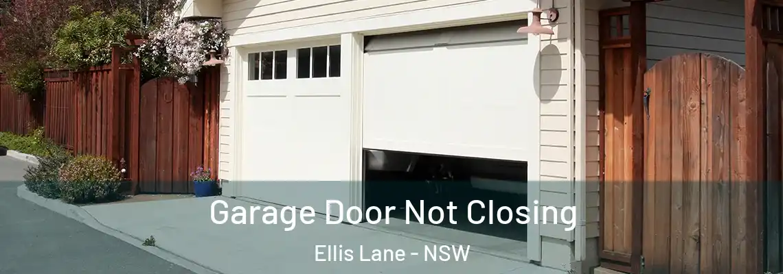  Garage Door Not Closing Ellis Lane - NSW