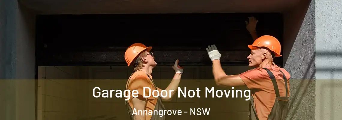  Garage Door Not Moving Annangrove - NSW