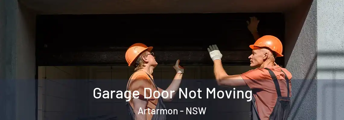  Garage Door Not Moving Artarmon - NSW
