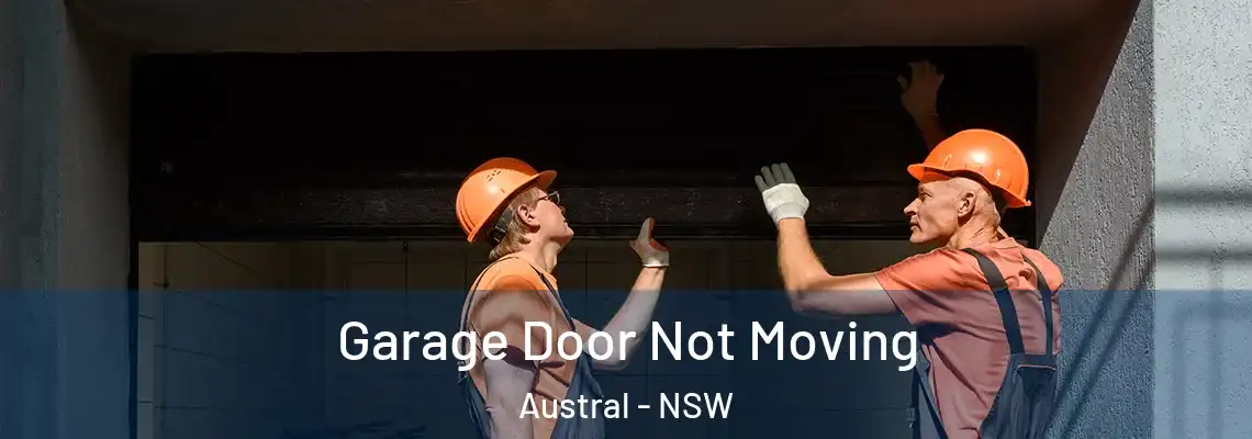  Garage Door Not Moving Austral - NSW