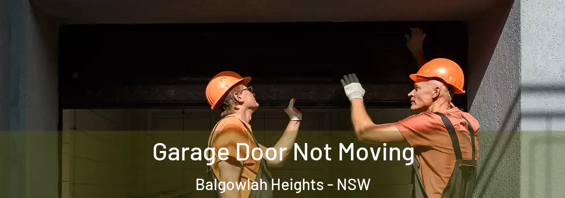  Garage Door Not Moving Balgowlah Heights - NSW