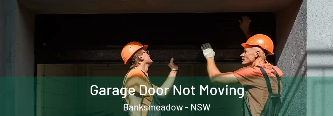  Garage Door Not Moving Banksmeadow - NSW
