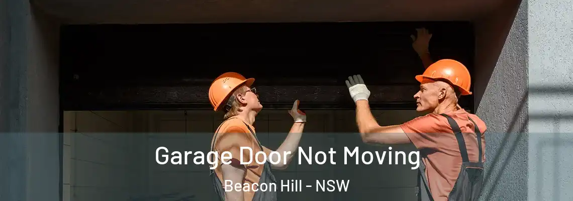  Garage Door Not Moving Beacon Hill - NSW