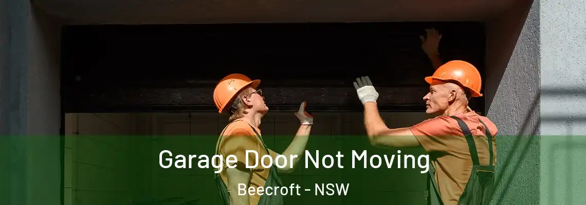  Garage Door Not Moving Beecroft - NSW
