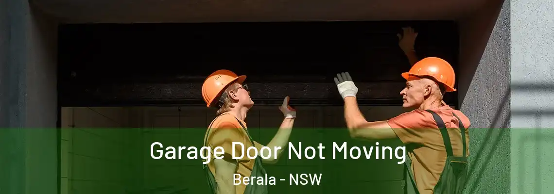  Garage Door Not Moving Berala - NSW