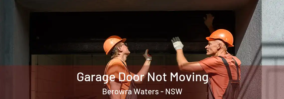  Garage Door Not Moving Berowra Waters - NSW