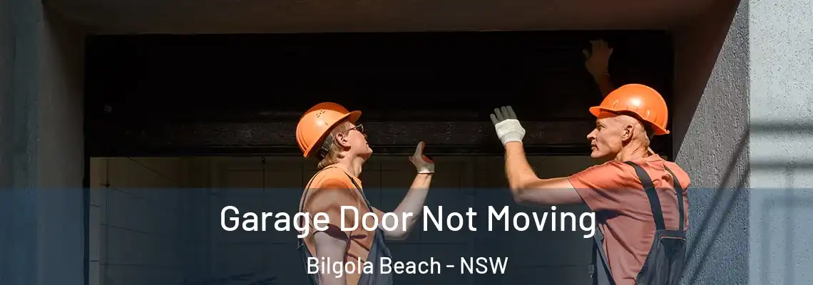  Garage Door Not Moving Bilgola Beach - NSW