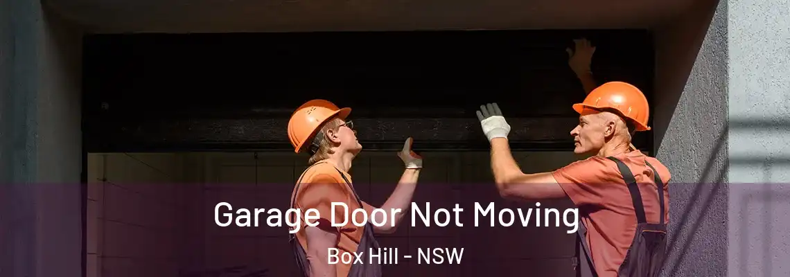  Garage Door Not Moving Box Hill - NSW