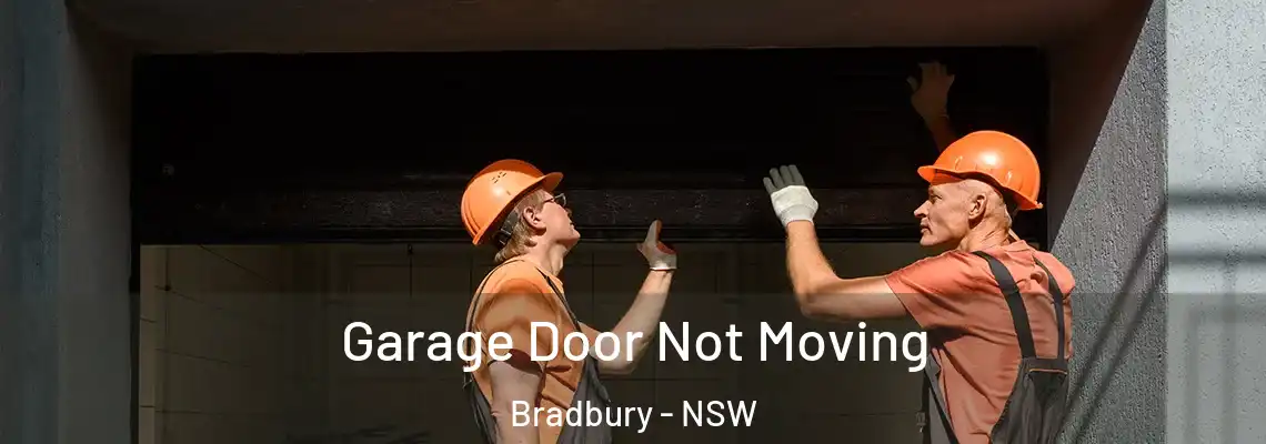  Garage Door Not Moving Bradbury - NSW