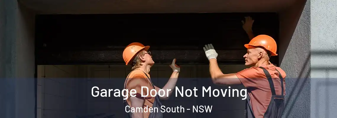  Garage Door Not Moving Camden South - NSW