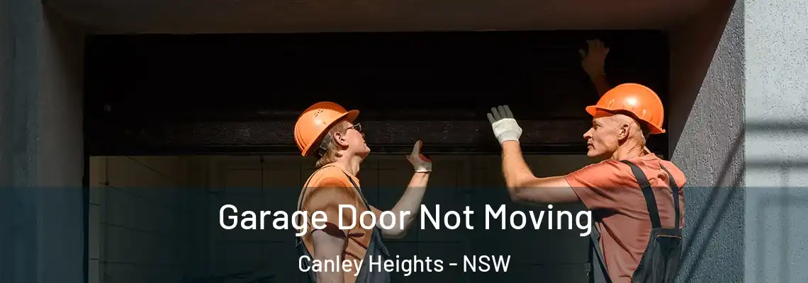  Garage Door Not Moving Canley Heights - NSW