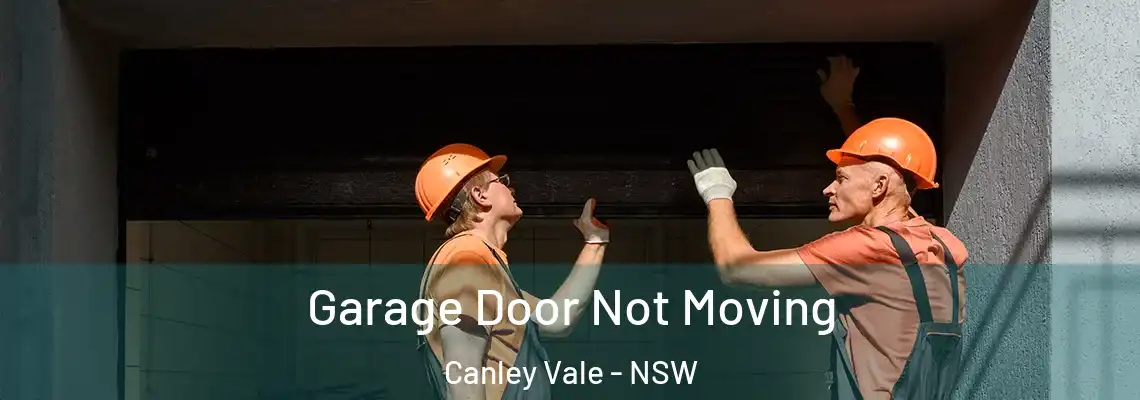  Garage Door Not Moving Canley Vale - NSW