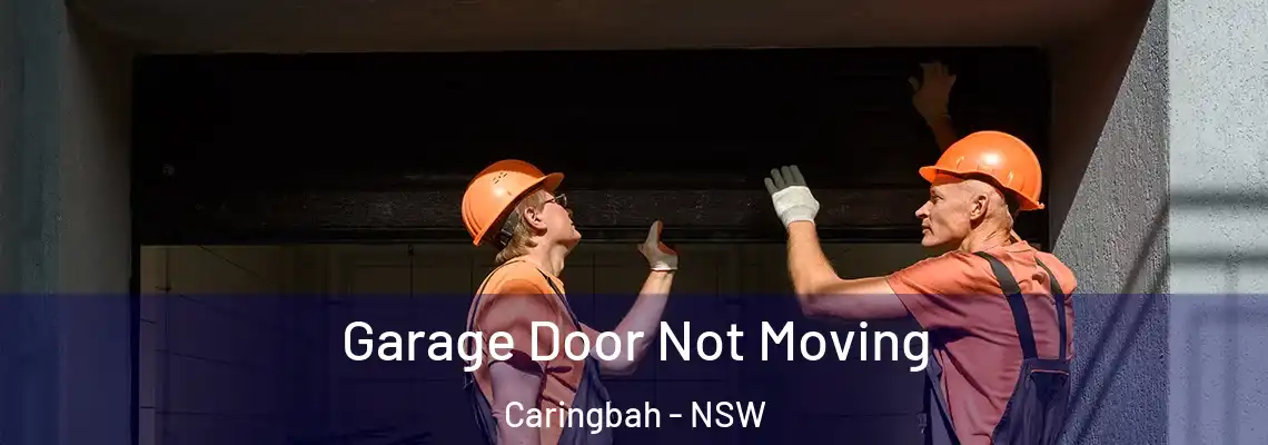  Garage Door Not Moving Caringbah - NSW