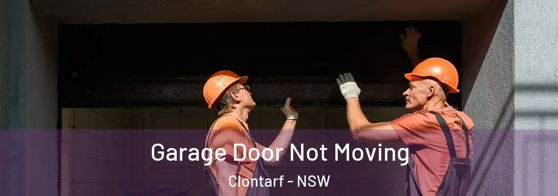  Garage Door Not Moving Clontarf - NSW