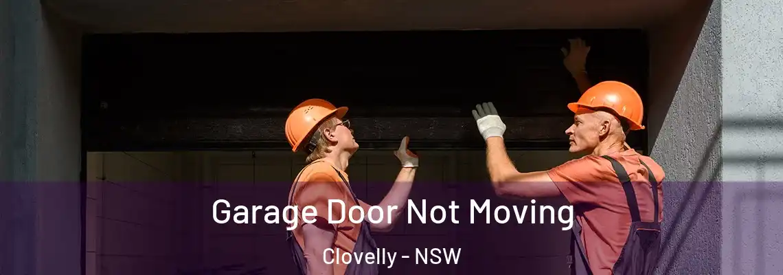  Garage Door Not Moving Clovelly - NSW