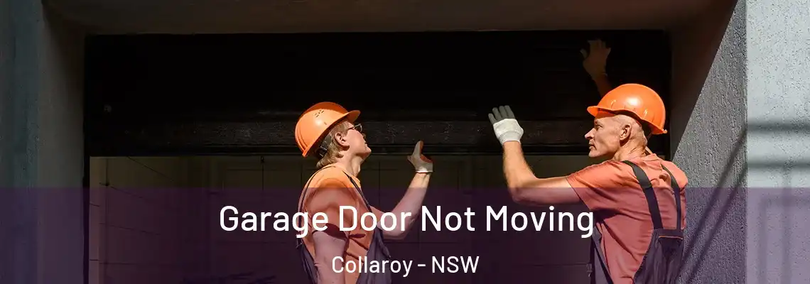  Garage Door Not Moving Collaroy - NSW