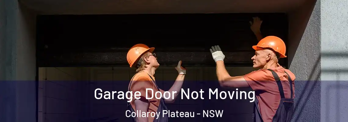  Garage Door Not Moving Collaroy Plateau - NSW