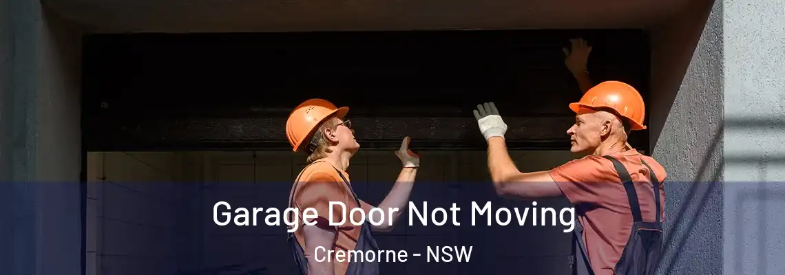  Garage Door Not Moving Cremorne - NSW